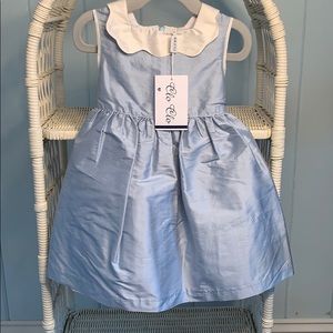 Clo Clo Raw Silk Dress-STUNNING-NWT